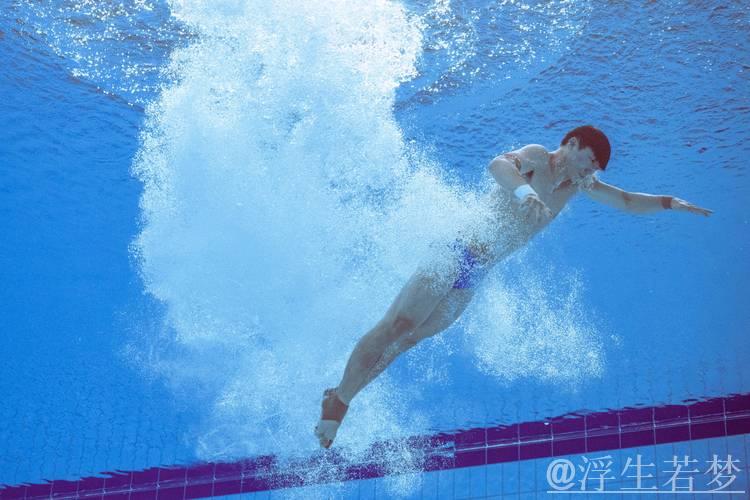 杨烁:跳水1米板表现平淡 难以引发共鸣 杨烁:跳水1米板表现平淡 难以引发共鸣